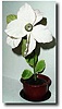 C.1950, German, novelty "Flower Clock",