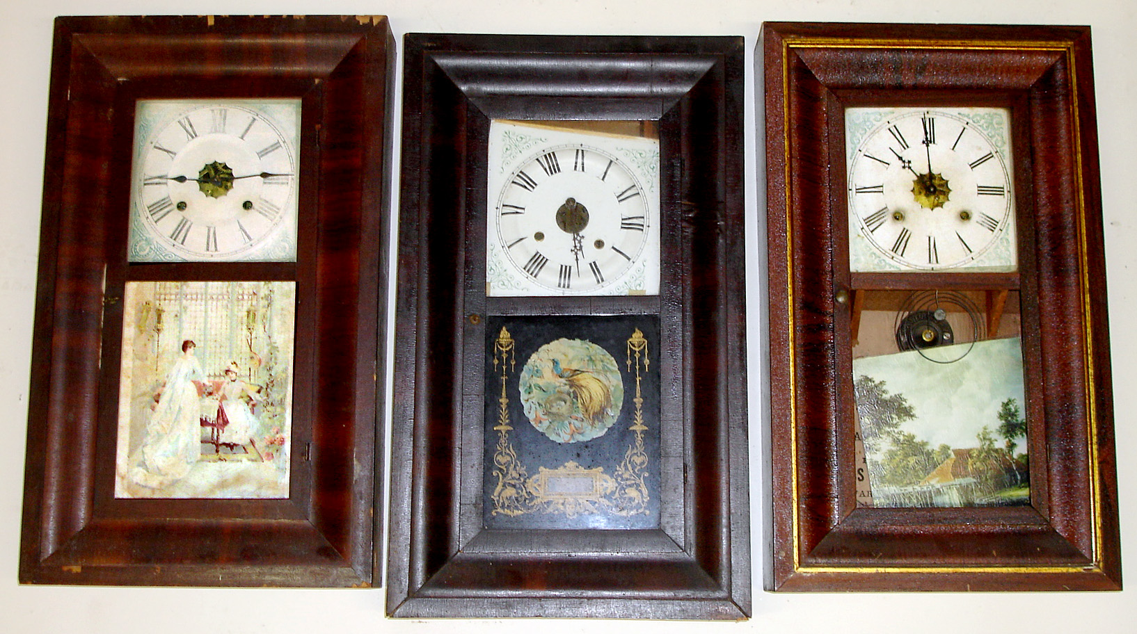 Three ogee 30 hour weight driven shelf clocks with green dial spandrels- a Waterbury, an Ansonia and the last unidentified with only label remnants but best glass showing colorful peacock. All about 26" high — Antique Clocks Price Guide