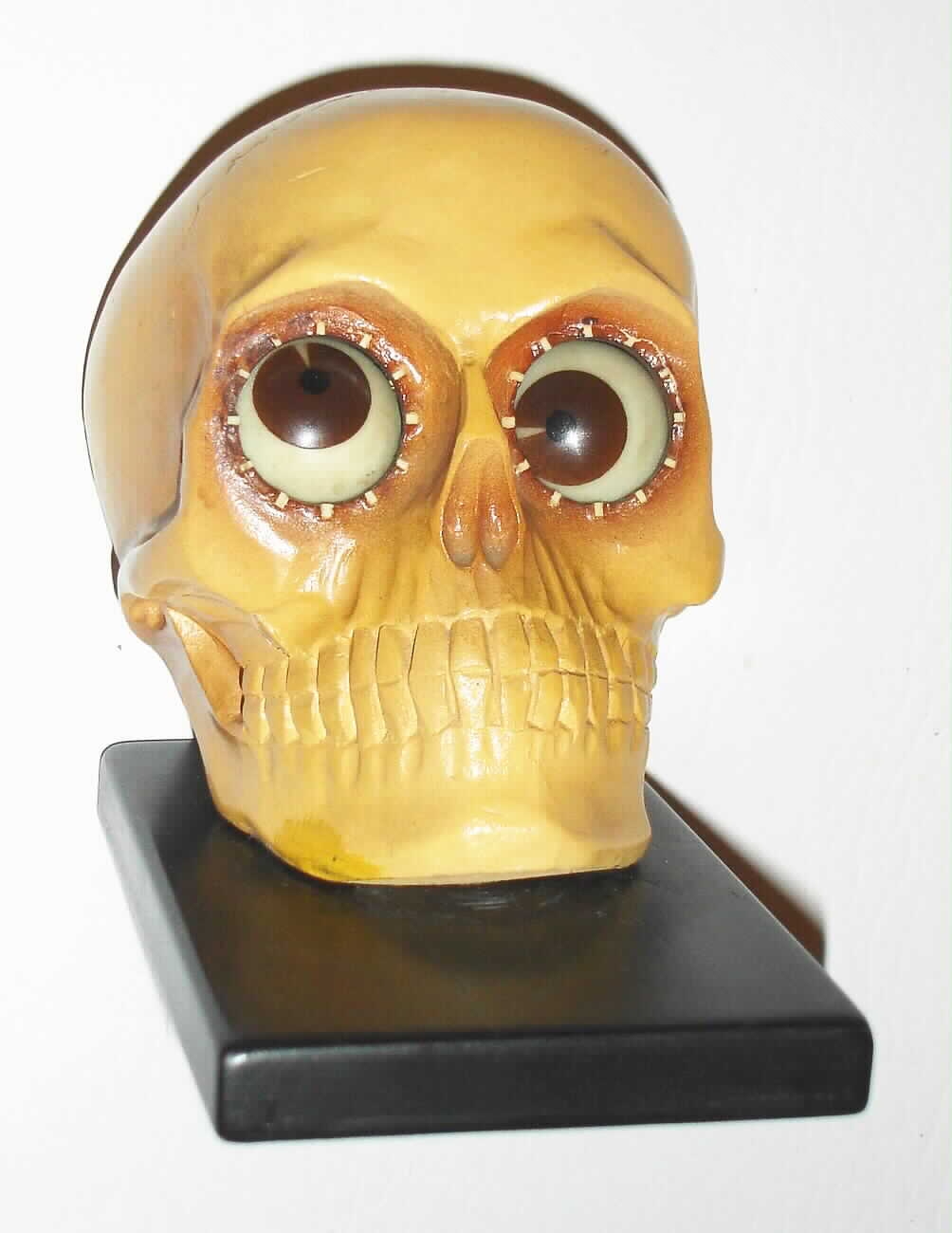 Oswald Uhrenfabrik, Germany, "Skull" rotating eye time piece, 30 hour, time only, spring driven movement in a composition case with yellow skull and brown eyes, c1930 — Antique Clocks Price Guide