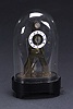 A FRENCH SKELETON CLOCK WITH GLASS DOME, 19th century, chapter ring inscribed 'PIERRET A PARIS', back impressed 'PIERRET/A PARIS'.